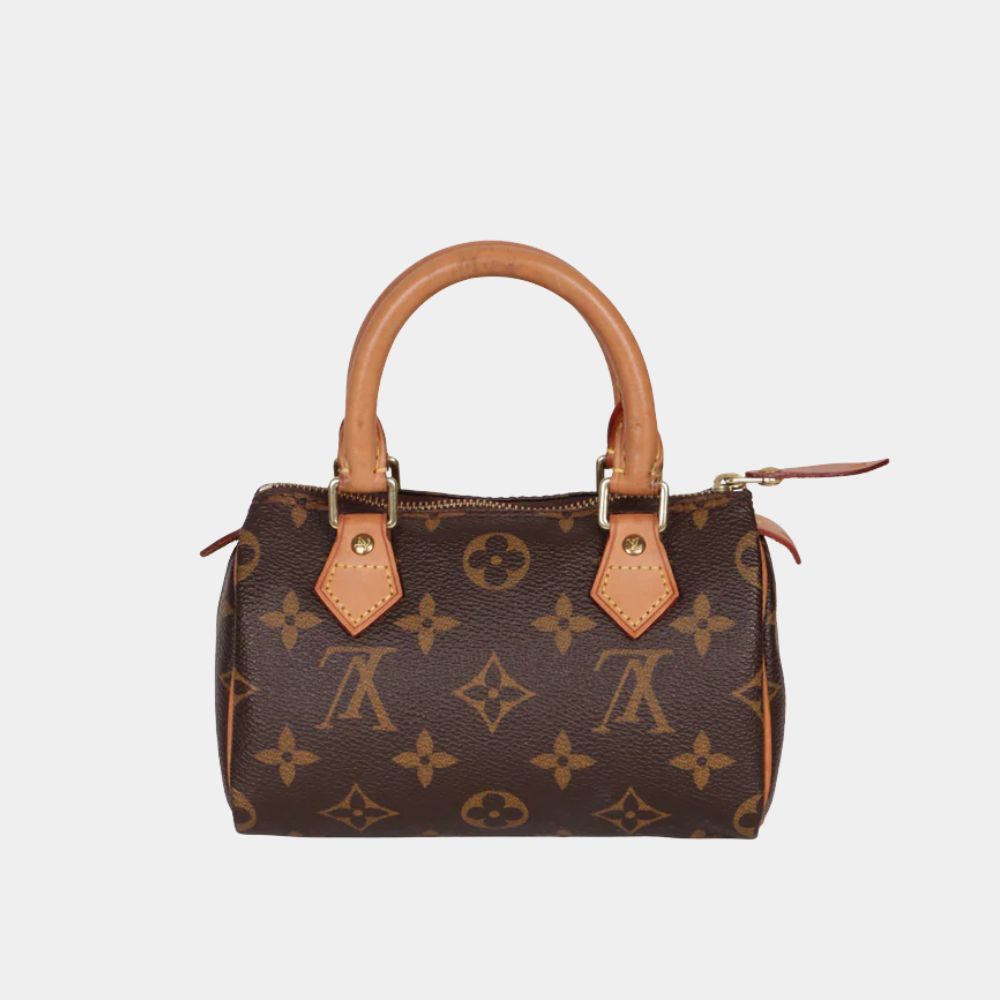 Louis Vuitton Speedy Mini Bag