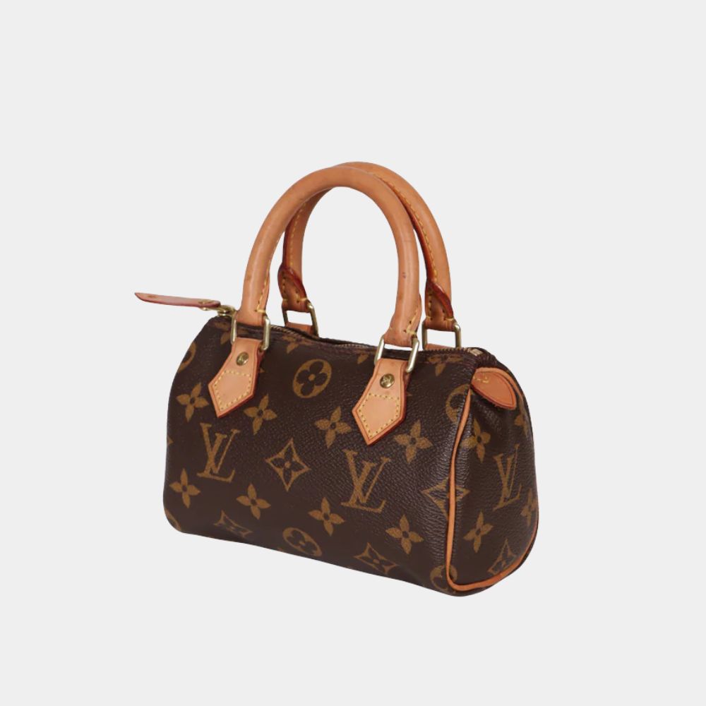 Louis Vuitton Speedy Mini Bag