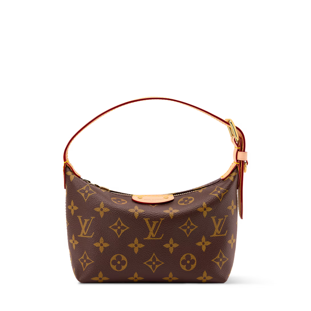 LV Classic Hills Pochette Bag