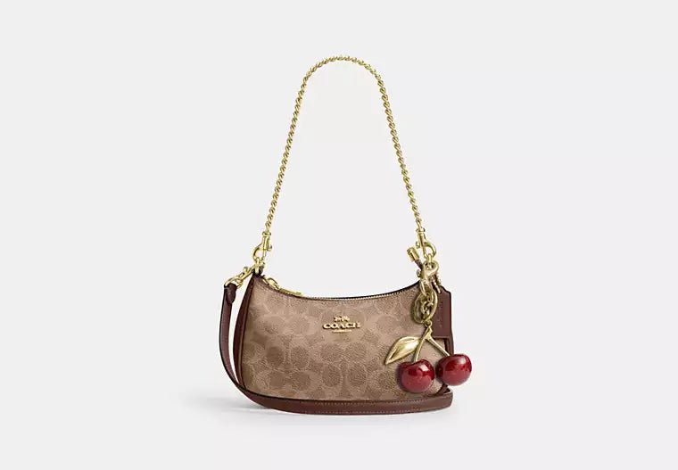 Coach Teri Mini Crossbody Bag In Signature Canvas